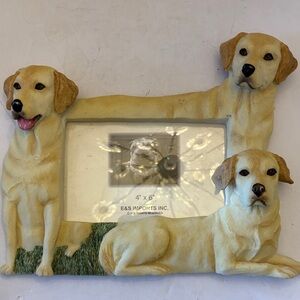 Labrador Retriever Dog Frame 3D